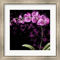 Fuschia Orchid Fine Art Print