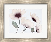 Blooming Youth 1 Fine Art Print