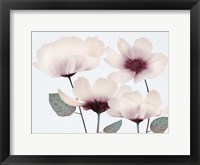 Blooming Youth 2 Framed Print