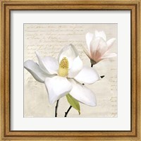 Ivory Magnolia I Fine Art Print
