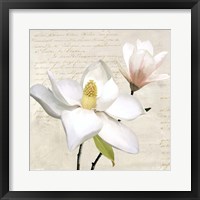 Ivory Magnolia I Framed Print