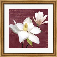 Burgundy Magnolia I Fine Art Print