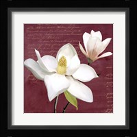 Burgundy Magnolia I Framed Print
