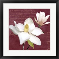Burgundy Magnolia I Framed Print
