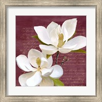 Burgundy Magnolia II Fine Art Print