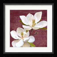 Burgundy Magnolia II Framed Print