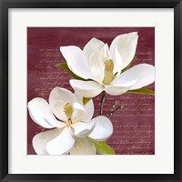 Burgundy Magnolia II Framed Print