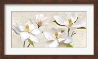 Ivory Magnolia Fine Art Print