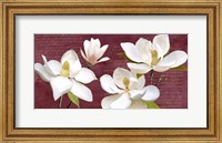 Burgundy Magnolia Fine Art Print