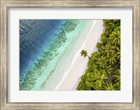 Tropical Beach, Aerial View Fine Art Print