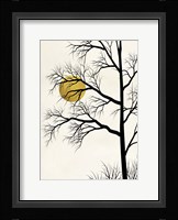 Golden Sunset Fine Art Print