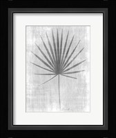 Tone on Tone Palm 1 Framed Print