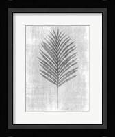 Tone on Tone Palm 2 Framed Print
