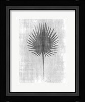 Tone on Tone Palm 3 Framed Print