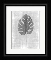 Tone on Tone Palm 4 Framed Print
