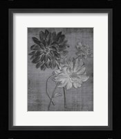 Tranquil Botanical 11 Fine Art Print