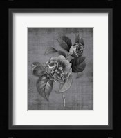 Tranquil Botanical 21 Fine Art Print