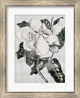 Southern Magnolia 1 Fine Art Print