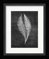 Astor Fern 2 Framed Print