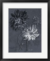 Tranquil Botanical 1 Fine Art Print