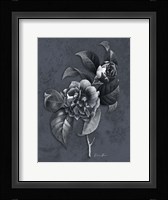 Tranquil Botanical 2 Fine Art Print