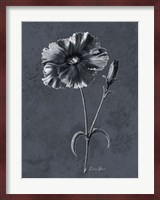 Tranquil Botanical 3 Fine Art Print