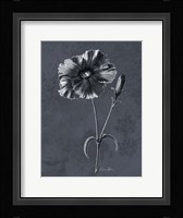 Tranquil Botanical 3 Fine Art Print