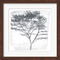 Tree 1 Fine Art Print