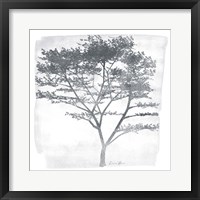 Tree 1 Fine Art Print