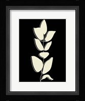 Natural 2 Framed Print