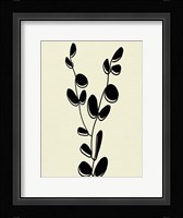 Natural 3 Framed Print