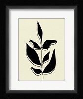 Natural 4 Framed Print