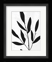 Plaster Leaves 1 Framed Print