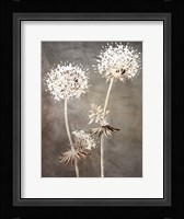 Stand 2 Framed Print