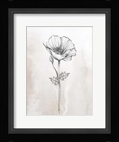 Stone Floral 1 Framed Print
