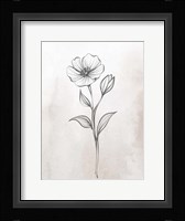 Stone Floral 2 Framed Print