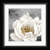 Peony 2 Fine Art Print