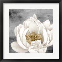 Peony 2 Framed Print