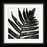 Pressed Fern 1 Framed Print