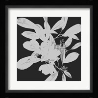 Botanical Dark 1 Fine Art Print