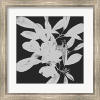 Botanical Dark 1 Fine Art Print