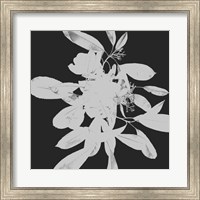 Botanical Dark 2 Fine Art Print