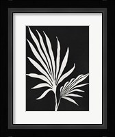 Silhouetted Growth Framed Print