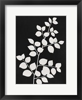 Silhouetted Growth 2 Framed Print