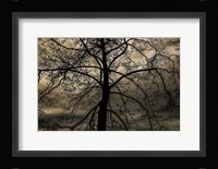 Conversation Of Earth Fine Art Print
