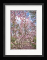 Switch Of Independence Fine Art Print