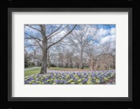 Overdue Wonder Fine Art Print