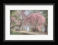 Merciful Integrity Fine Art Print