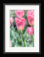 Inventions Of Chemistry Fine Art Print