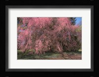 Spectacular Message Fine Art Print